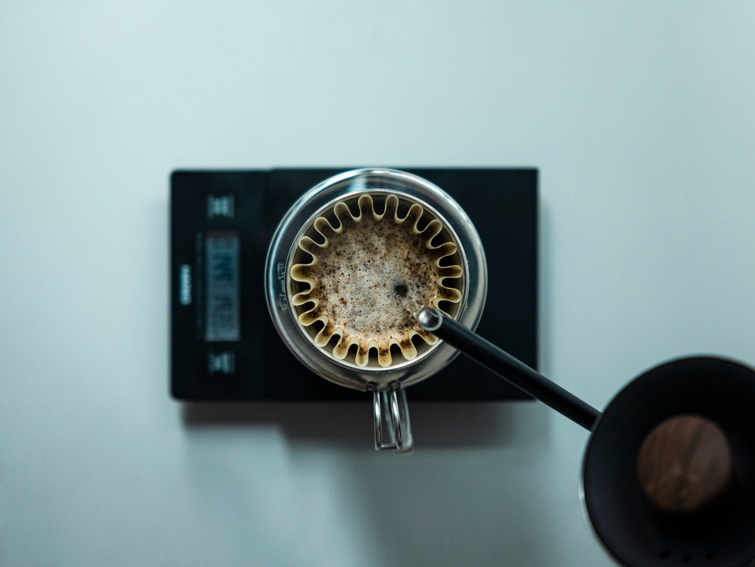 How to brew with Kalita Wave by kurasu.xyz 2023